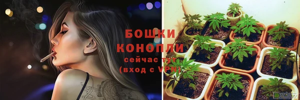 каннабис Белокуриха