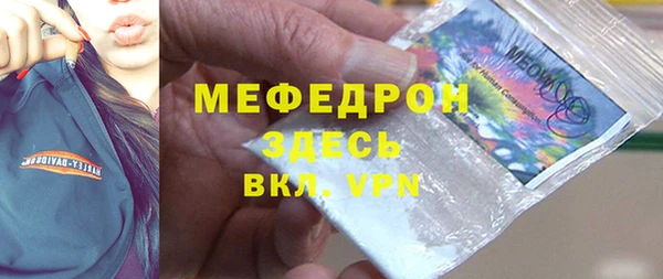 сатива Беломорск