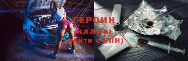 сатива Беломорск