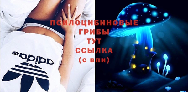 сатива Беломорск
