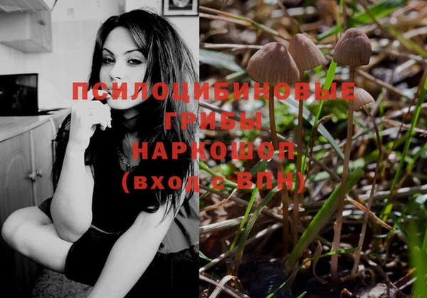 каннабис Белокуриха