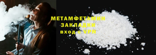 сатива Беломорск
