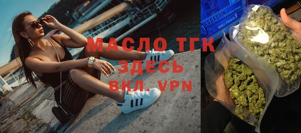 сатива Беломорск