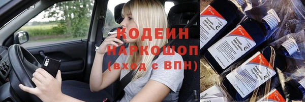 сатива Беломорск