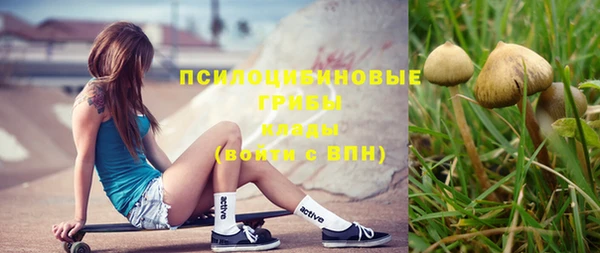 эйфоретик Покачи