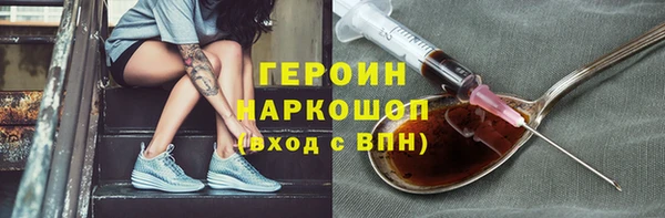 сатива Беломорск