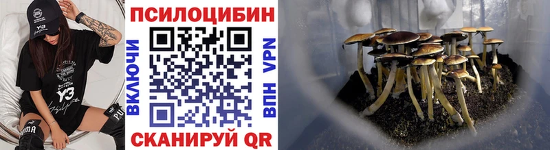 гидра ссылка  Назарово  Псилоцибиновые грибы Psilocybe 